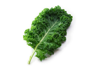 Kale. King of nutrition. A Fresh kale leaf isolated on white.