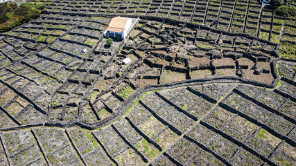 The landscape of Terceira Island in the Azores