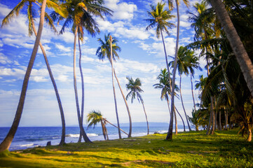 white sandy beaches on the island with coconut palms above the sea waves	