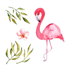 Tropical watercolor leaf illustration with flowers and flamingos. set of floral illustrations. exotic leaves isolated on white background. collection with flowers for invitation