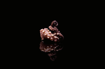 octopus tentacle seafood gourmet animal