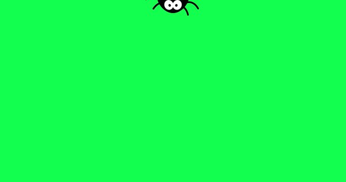 spider hanging on web halloween animated video animation