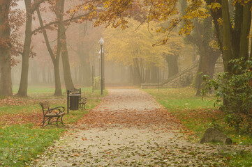 Jesienny poranek w parku. - obrazy, fototapety, plakaty
