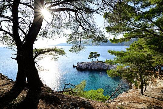 View of Paralia Amarantas between sea and pine forest on the south coast of the Greek island of Skopelos in the Western Sporades