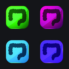 Big Intestines four color glass button icon
