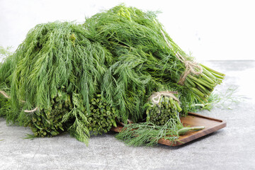 Bunches of green fresh dill close-up.