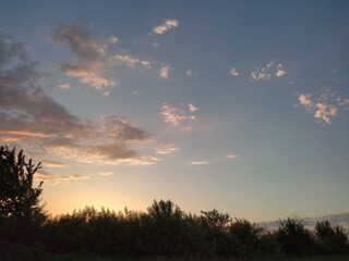 sunset over the field