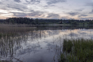 Summer evening landscape, fog over the river. lake view. Old and young grass by the pond. Back light in the landscape.