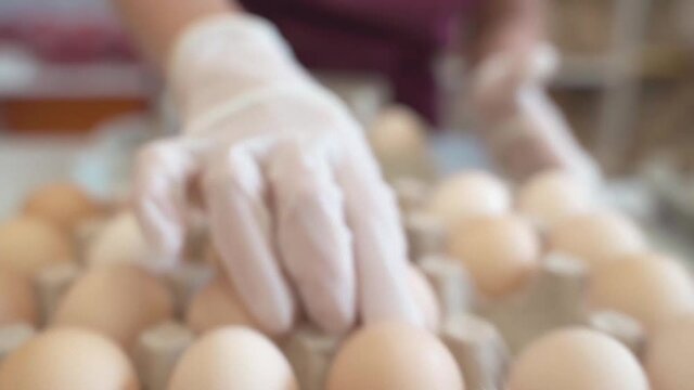 Girl seller holds, shifts and sorts the eggs. Organic harvested eggs. Packer holds a container with eggs in his hands shows the camera. Packing farm products for delivery