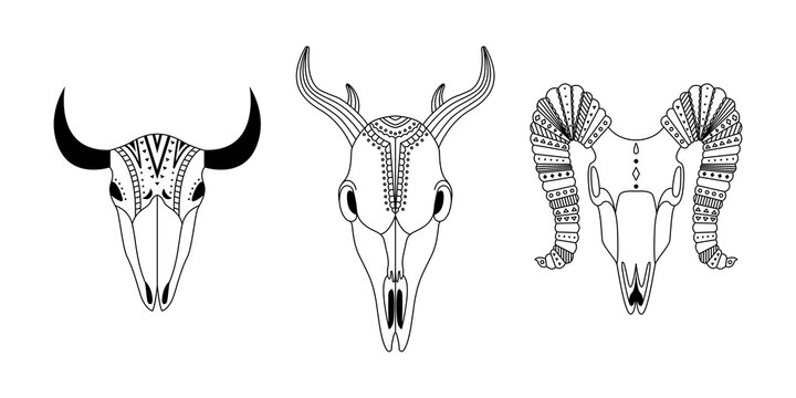 Set of three animal skulls with geometric ornaments. Tribal outline illustration.