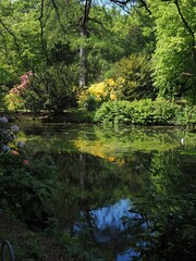 Rozelle Park Lake Ayr