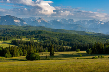 Lapszanka Valley in Podhale Region in Poland at Summer