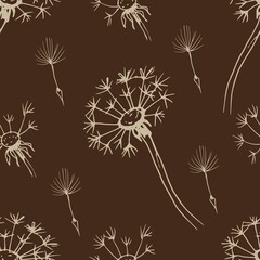 Dandelion flowers wildflowers graphic vector hand-drawn illustration. Print textile vintage retro leaves seeds fly coloring book for kids cute cartoon nature plants patern seamless