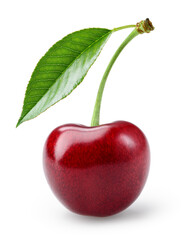 Cherry isolated. One cherry with leaf on white background. Sour cherri on white. Cherry leaf. Full depth of field.