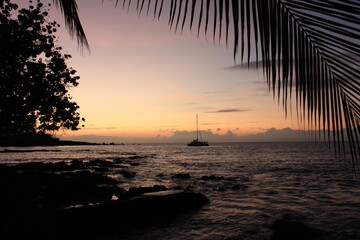 Fototapeta na wymiar ハワイ島（ビッグアイランド）の夕暮れ・ヤシの木のある浜と海、オレンジ色に染まる空。