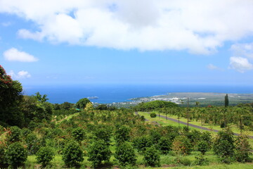 ハワイ島（ビッグアイランド）。緑の草に覆われた溶岩の大地と海に太陽の光が降り注ぐ