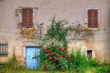Fototapeta na wymiar Façade d'une maison abandonnée à la campagne.