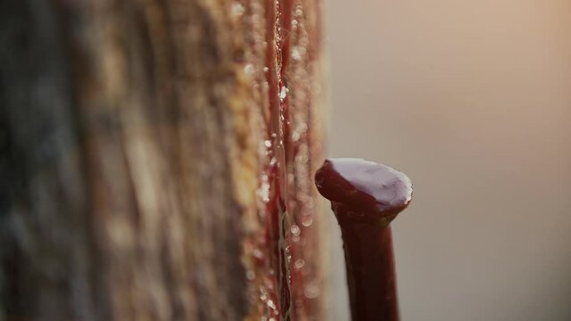 Blood drops spilling on a wooden cross with an old and rusty nail. Slow motion footage