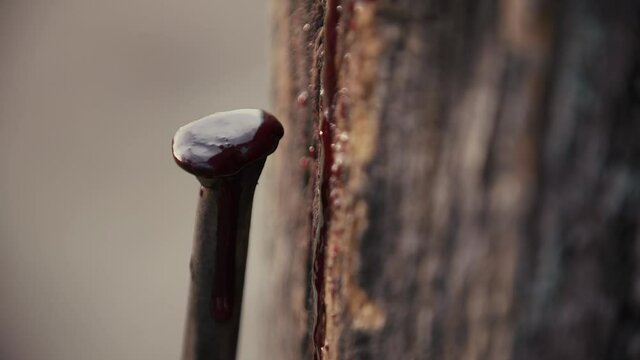 Blood drops spilling on a wooden cross with an old and rusty nail. Slow motion footage
