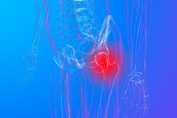 Pain in the tailbone or prostate. X-ray of the human body. 3d rendering - obrazy, fototapety, plakaty