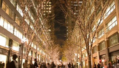 Illuminated rows of trees along Marunouchi Nakadori Street in Tokyo during holiday season　丸の内仲通り ウィンターイルミネーション