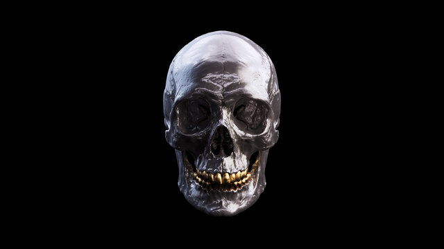 Silver Human Female Skull With Gold Teeth and Black Background Medical Anatomical and Jaw Bone 3d illustration render