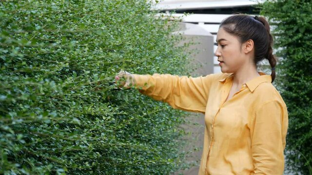 Young woman using cordless electric hedge cutting and trimming plant in garden at home