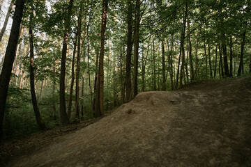 Trampoline in the woods. Extreme bicycle riding in the forest. Man-made hump made of dirt, sand and cutted wood.