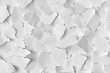 Obraz premium Crumpled torn white paper