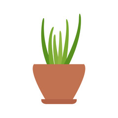 Plant in a pot icon, vector illustration
