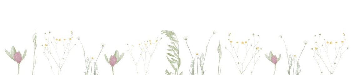 Horizontal banner or floral backdrop decorated with Herbs and wild botanical flowers. Set of botany vintage flowers.