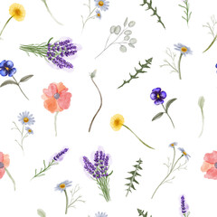 Watercolor seamless pattern with wildflowers, Herbs and wild botanical flowers.