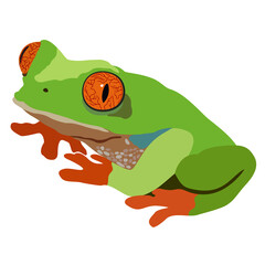Vector isolated illustration of bright green frog with red legs and orange eyes.