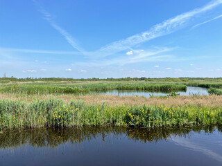Scenery around Earnewald