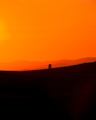 Fototapeta na wymiar Vibrant orange sunset and hills with a single tree seen from the Palouse in Washington State