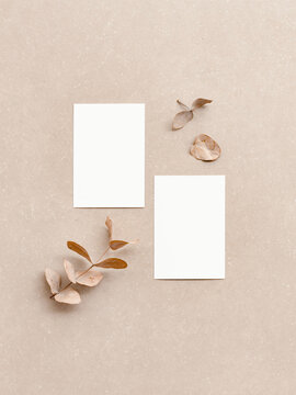 Minimalist Presentation Of Two Vertical Blank Business Cards Mock Up For Design Template, Top View. White Visit Card Mockup Front And Back With Natural Colors. Branding Concept, Insert Your Logo