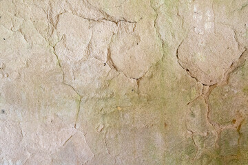 Old concrete wall covered with green bloom, visible cracks and signs of old age.