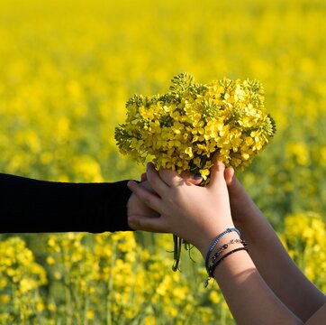 Low Angle View Of Person Hand Holding Yellow Flower On Field