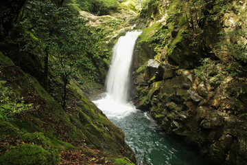 徳島県海陽町　轟九十九滝　横見滝