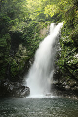 Obraz premium 徳島県海陽町 轟九十九滝 鳥返滝