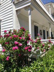 flowers in front of house