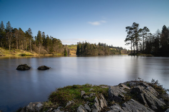 Tarn Hows Shore