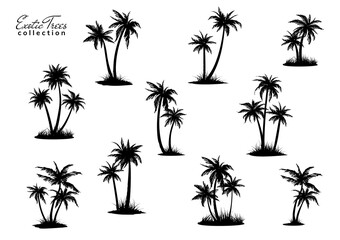 Group of palm trees silhouettes with peace of land. Vector illustration