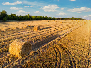 Aerial drone top scenic sunset view of many rolled hay bales on harvested golden wheat field at...