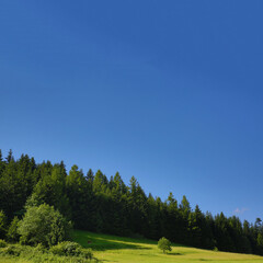 Green hill landscape. Mountain landscape on sunny day. Sunrise mountain scenery. Mountains on the cloudy sky.