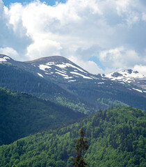 Naklejka premium Panorama of the Carpathian mountains at the beginning of summer in Ukraine, rest and travel in the mountains