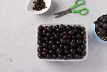 Yoshta berries are prepared for freezing and placed in a food container. Gray background, view from above