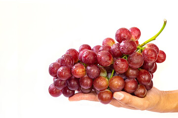 Fresh grapes are beautiful and perfect, suitable for healthy eating, healthy fruit.