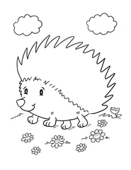 Fototapeten Cute Baby Igel Malbuch Seite Vektor Illustration Art © Blue Foliage