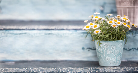 A blue bucket or flowerpot full of lovely and aromatic summer flowers